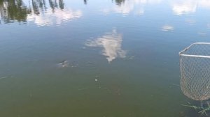 1000085315.mp4
