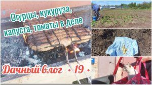 ЖАРЮ КОТЛЕТЫ НА ДАЧЕ 🏡 ПОСАДИЛА ОГУРЦЫ, КУКУРУЗУ, КАПУСТУ И ТОМАТЫ // ЗАПУСТИЛА НАСОС