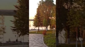 Исцелила эмоциональную травму #психологонлайн #жизнь #счастье