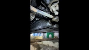 Замена рычагов передней подвески FIAT Punto 1 1999, 60 л.с. (176)