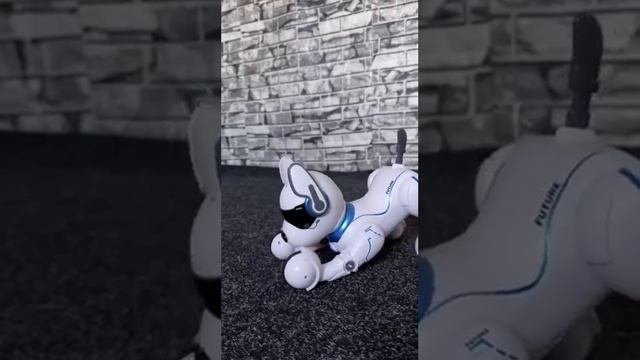 Собачка на радіокеруванні виконує голосові команди (А смотреть онлайн