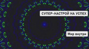 СУПЕР-НАСТРОЙ НА УСПЕХ: Чудеса начнут случаться СЕГОДНЯ!