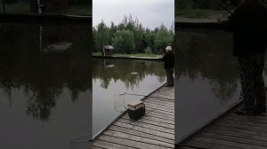 КРХ ТРИФОН
