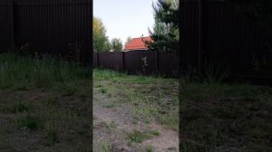 Пермский_край_Пакли.mp4