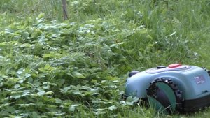 Самый дешевый беспроводной робот-газонокосилка Robokos M2