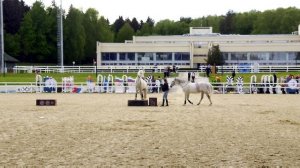 Эквирос 2025_4