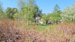 7754397Победит 2