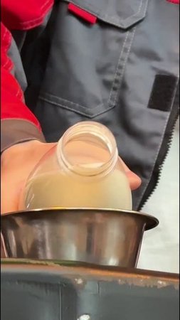 😎Челлендж с котиками и штабелерами SIBLINE
🙏Приют для кошек «Дом Оззи»