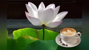 Время пить Херши 💗🗝️