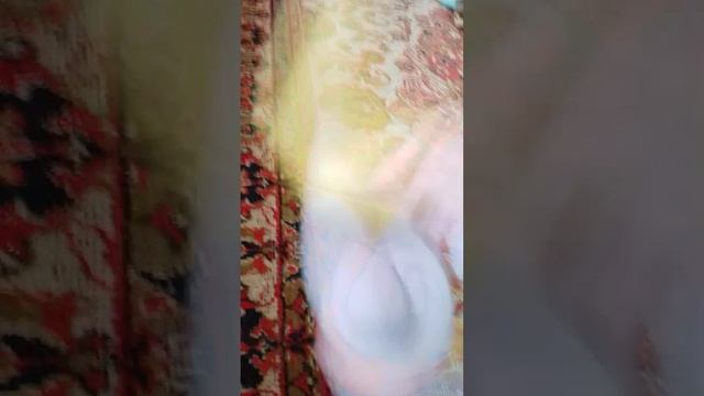 3 сезон 11 часть мягких игрушек, хаги ваги маньяк😰...