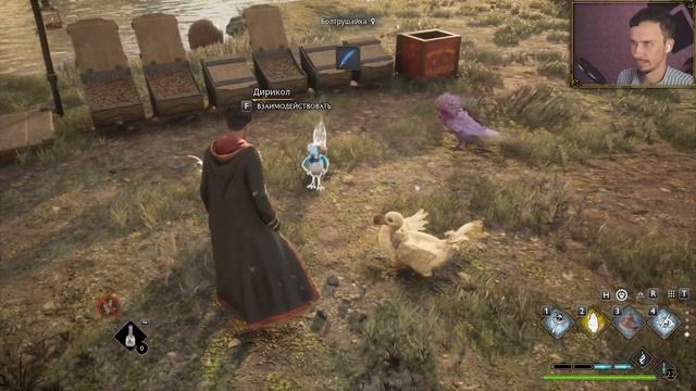 Ep. 71: Необычный квест на болотах / Хогвартс Наследие / Р? смотреть онлайн