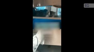 Ленточный пресс для производства соков прямого отжим?