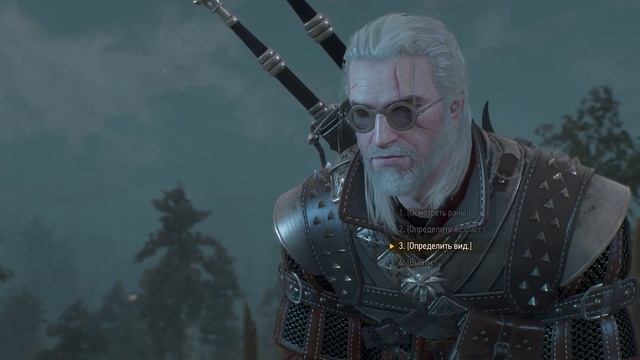 The Witcher 3 Новая игра+ #2 смотреть онлайн
