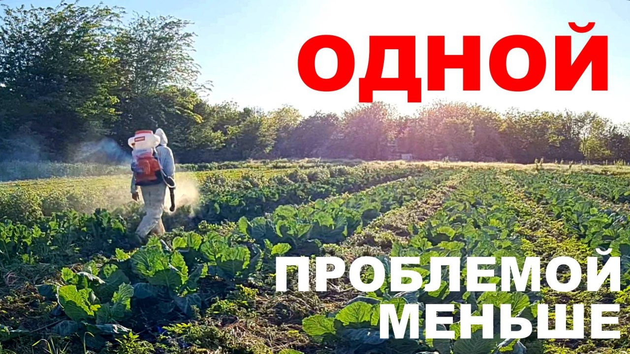 Спасаем ферму от насекомых. Новый опрыскиватель в хозяйстве.