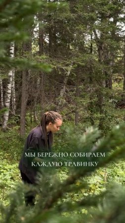 Лето начало наших экспедиций за дикоросами. Княгинюшка #алтай #дикоросы #травы #ручнаяработа #натура