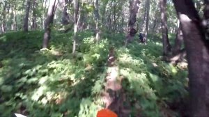 Трасса - 2 часть.