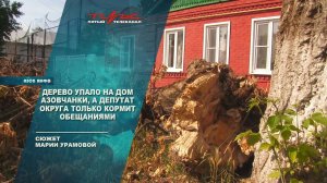 Дерево упало на дом азовчанки, а депутат округа и служба ЖКХ только кормят обещаниями