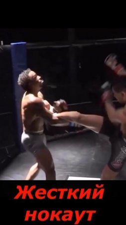 Лучшие нокауты Подпишись и ставь лайк #ufc #mma #youtube #sports #tiktok #shortsvideo #russia #box