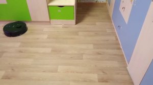 Кот и робот-пылесос