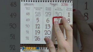 Статический курсор ПАЛАДИН для квартальных календарей