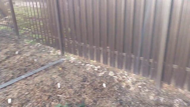 Весенние работы в саду у Вовы или помощь хостам после ?