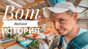 Распаковка покупок / Спасаем ежика / Утро в горах / Закупка в магазине Чижик / Анапа / Влог