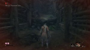 Стратегия как победить мечника одинокой тени - Sekiro