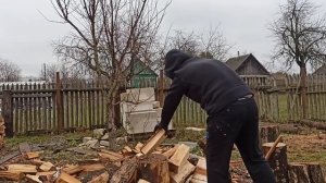 Расколол лесовоз дров. Сколько стоят дрова? Как колоть