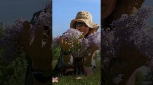 Бокал сирени