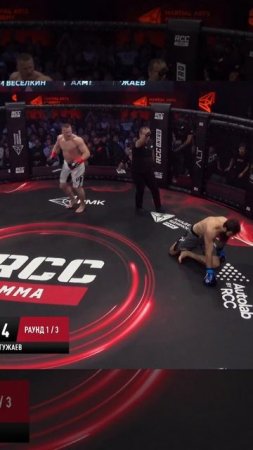 Лучшие нокауты Подпишись и ставь лайк #ufc #mma #youtube #sports #tiktok #shortsvideo #russia #box