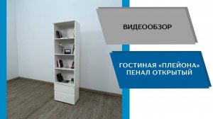 ТЭКС
Видео обзор. Гостиная Плейона. Пенал открытый.