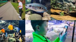 МОСКВАРИУМ КрокусСити ПОДВОДНЫЙ МИР / ОБЗОР ОКЕАНАРИУМ / МОСКВА 24