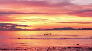 Трансерфинг реальности. Ступень I. Пространство вариантов  1