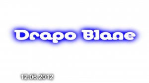 ANUF_Drapo Blane_День Независимости в ДКМ_12.06.2012