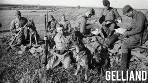 Gelliand - Память поколений