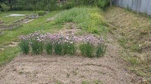 Сегодня ответственные дачные работы.