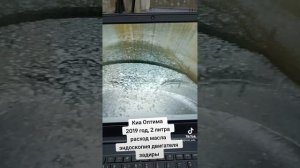 Kia Optima 2 литра, расход масла, эндоскопия двигателя. #киа