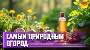 Секреты экологичного огорода: Урожай без вреда природе!