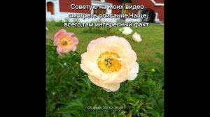 Советую 😁