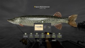 РАЗДАЧА ЩУКИ НА АРХИПЕЛАГЕ, ЦВЕТНЫЕ КАРПЫ НА ЯНТАРНОМ И МЕДНОМ ОЗЕРЕ В РУССКОЙ РЫБАЛКЕ 4 РР4