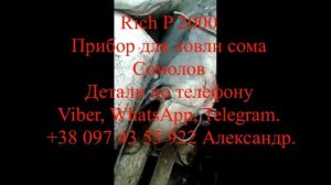 Сом на Rich AC 5