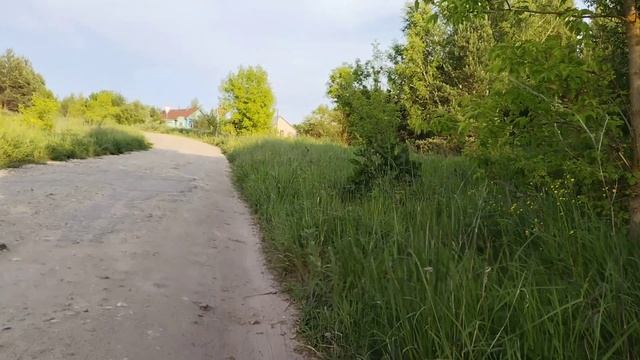 #природа#дорога#река#подъем#🌞🚤🌳🚵