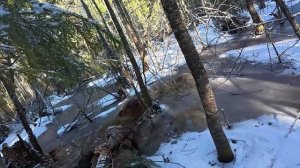 1 день охоты. Заходим на болото