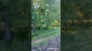 Скажи спасибо богу перед сном 🙏