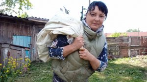 И ВСЁ В ОДНИ РУЧЕНЬКИ, СРЕЗАЕМ СЛИВУ, ВАРЕНИКИ С ТВОРОГОМ, КАНАЛ О ПОВСЕДНЕВНОЙ ЖИЗНИ