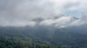 Спуск к роза хуторр