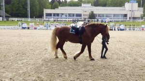 Эквирос 2025_7