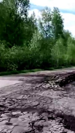 Состояние дороги недалеко от Омска