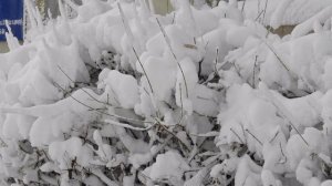 Зима по городскому.