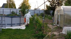 Обработка винограда